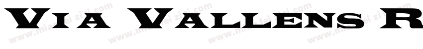 Via Vallens Regular字体转换